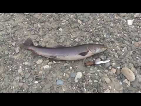 Часть 5 Сплав по р.Уда (окончание) смотреть онлайн