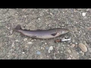 Часть 5 Сплав по р.Уда (окончание)