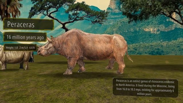 Rhino Evolution | In One Minute