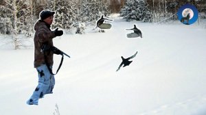 ОХОТА НА ТЕТЕРЕВОВ НА ЛУНКАХ В РАЗГАР ЗИМЫ
