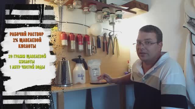 Лечим пчел от клеща варроа щавелевой кислотой смотреть онлайн