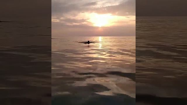 Каспийское море -лето смотреть онлайн