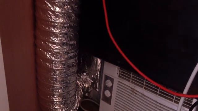 1200 watt scrog NL x BB смотреть онлайн