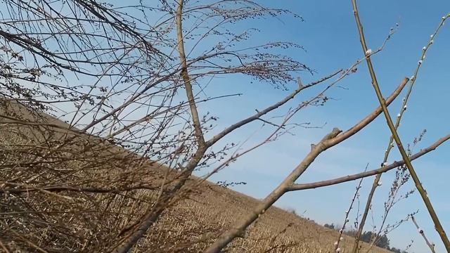 Охота на гуся 2024 смотреть онлайн