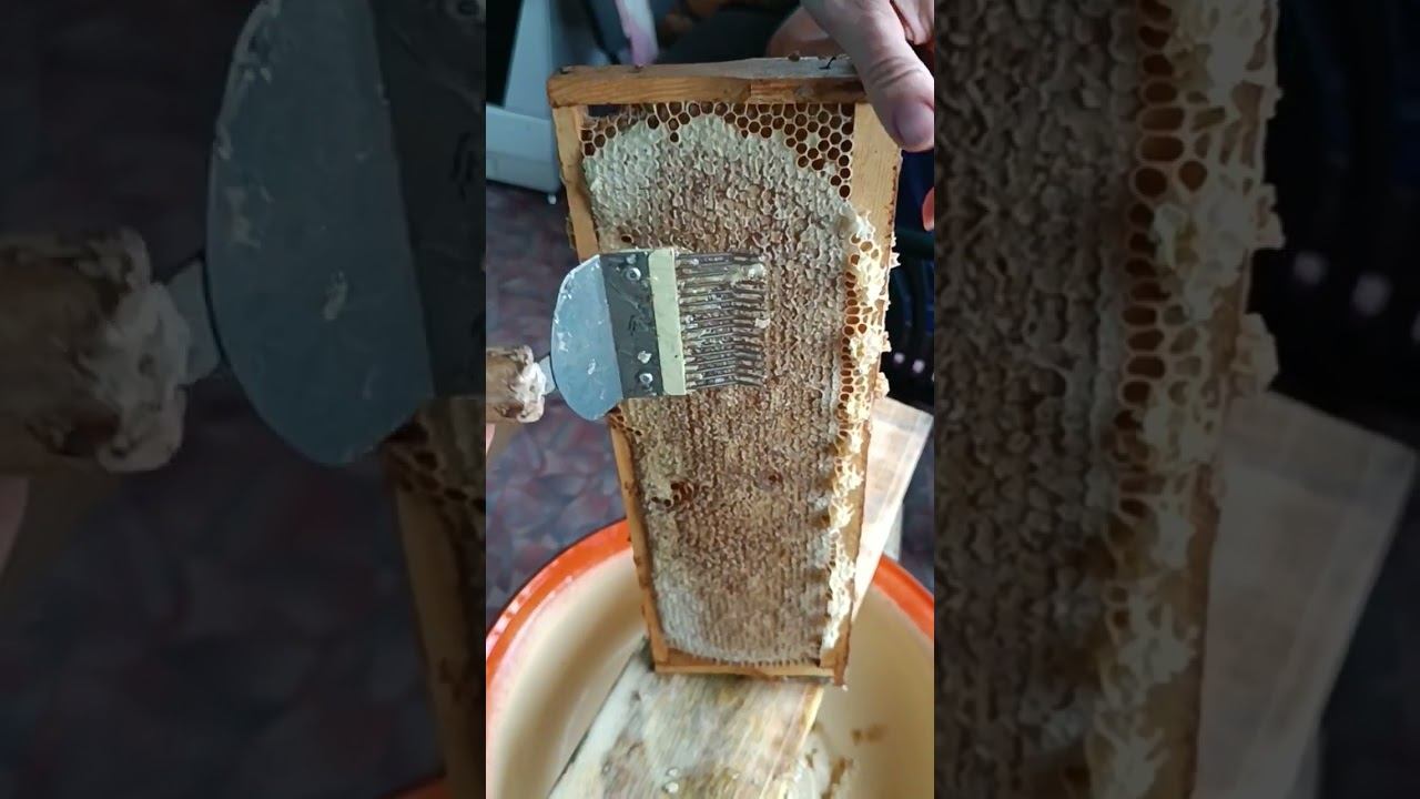 Распечатываю магазинные полурамки #shots смотреть онлайн