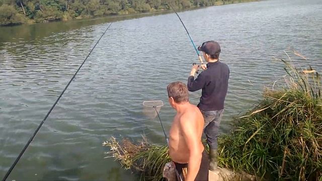 Carp fishing. Ловим карпа смотреть онлайн