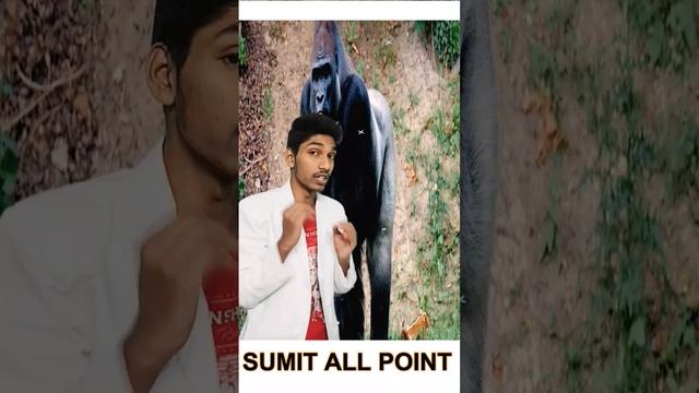 आप को नहीं पता होगा 😱 | TOP AMAZING INTERESTING MIND BLOWING RANDOM TRENDING VIRAL FACTS IN HINDI смотреть онлайн
