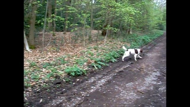 vintage digital camera test - kodak Z915 - 10mp sherwood forest смотреть онлайн