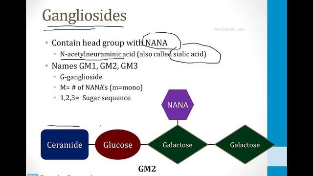 Biochemistry - 6. Other Topics - 1. Lysosomal Storage Diseases Atf