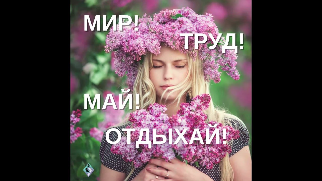 Мир! Труд! Май! Отдыхай! #shorts смотреть онлайн