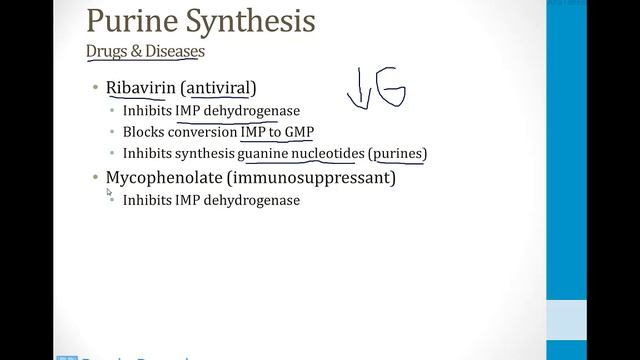 Biochemistry - 1. Molecular Biochemistry - 2. Purine Metabolism Atf