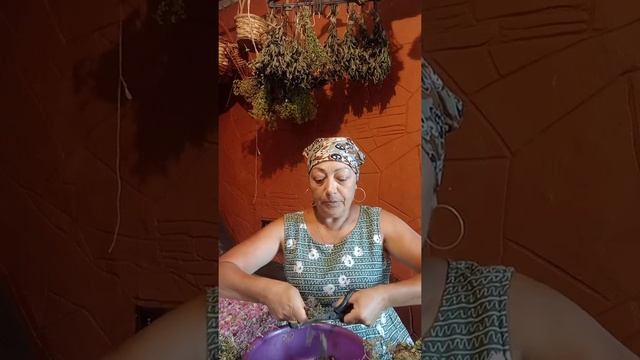 Материнка - растение,которое может вернуть счастье в семью.#материнка#орегано#ароматравы. смотреть онлайн
