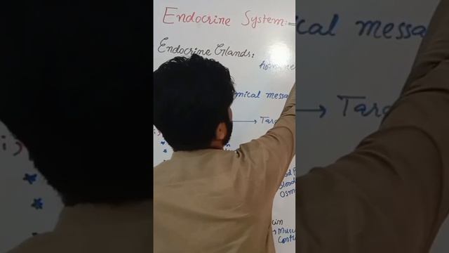 Endocrine system watch complete lecture link is in description box смотреть онлайн