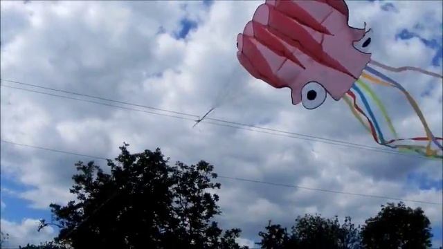 WinWind Осьминог 120 см розовый во дворе слабый и сильный порывистый ветер смотреть онлайн