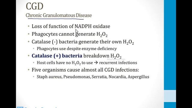 Biochemistry - 2. Metabolism - 5. HMP Shunt Atf