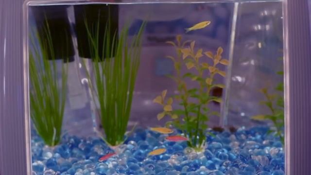 jack stauber ─ two time [full lyrics] смотреть онлайн