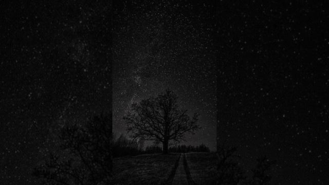 Freya Ridings - Elephant