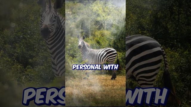 Serengeti Safari: The Great Wildebeest Migration | The Serengeti National Park, Tanzania | Travel смотреть онлайн