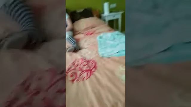 Вызываем Чеширского кота смотреть онлайн