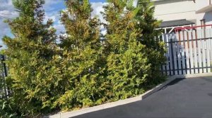 Загородный дом в Гурьевске: Тур по интерьеру и участку