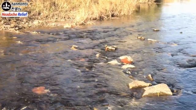 두통 없애는법 머리아플때듣는음악 30분 Headache Relief Music 30min