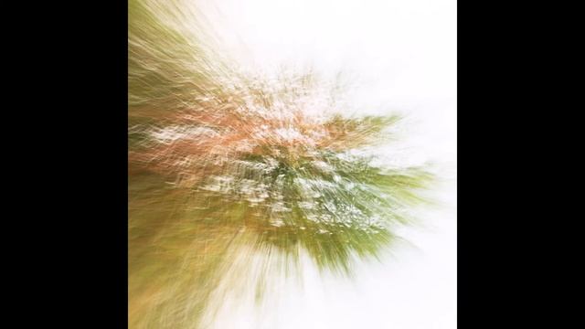 AMR - Roadkill Hedgehog смотреть онлайн