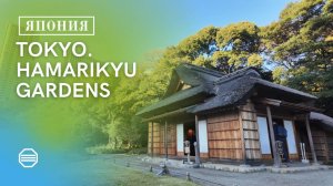 TOKYO. HAMARIKYU GARDENS.