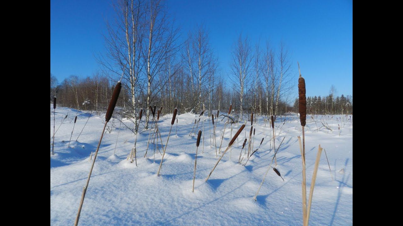 Ждём весну! смотреть онлайн