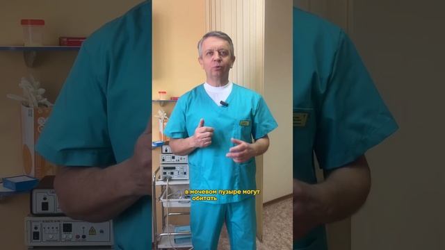 Паразиты в мочевом пузыре #паразиты#шестосомы#мочевойпузырь смотреть онлайн