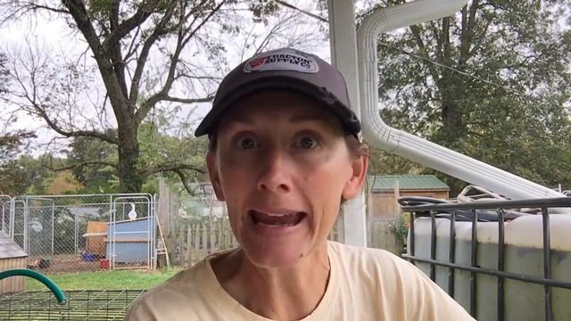 Death & Taxes! смотреть онлайн