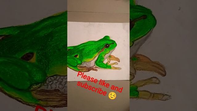 #beautiful beautiful oil pastel drawing of frog 🐸🐸🐸🐸 смотреть онлайн