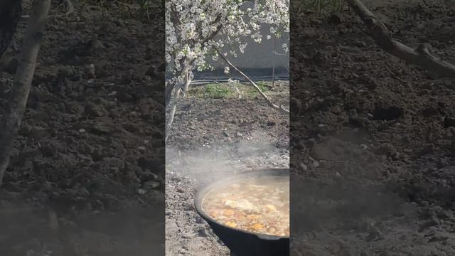 Табиатда бахорги шурва | Весенний суп (Шурпа) на природе | Яйпан смотреть онлайн