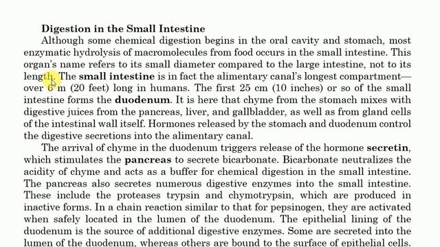 Small intestine structure and functioning, Nutrition part 21, Form five biology смотреть онлайн