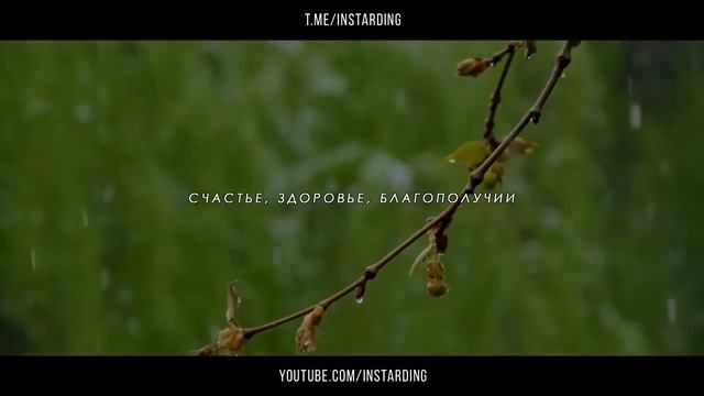 Твоё подсознание МОЖЕТ ВСЁ Используй его, и твоя жизнь изменится! Джон Кехо Подсознание может всё смотреть онлайн