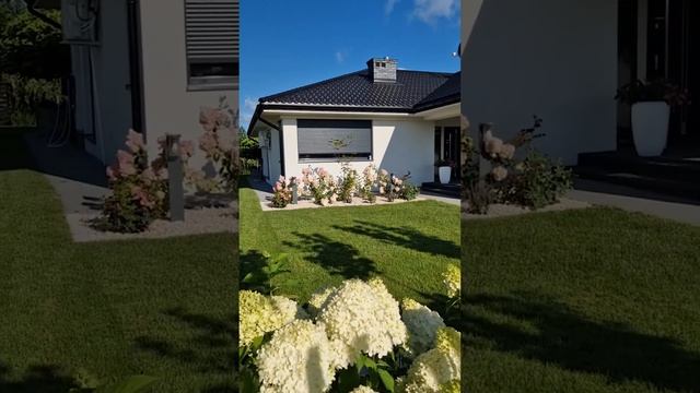 Самый красивый сад,самые зелёные гортензии, самый ухоженный газон, самый крутой проект по озеленени смотреть онлайн