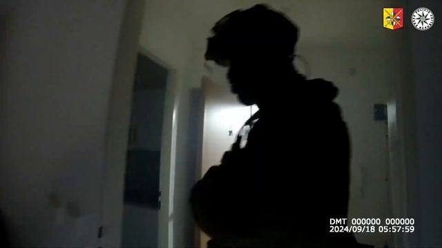 Задержание подозреваемого смотреть онлайн