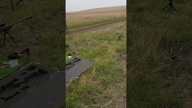 Тика Т3 800 метров , стрельба по гонгу. смотреть онлайн