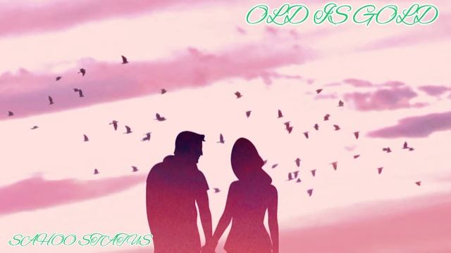 🎶Palka jhuka lu🎶Hindi Old status Song 🥀 romantic short video 🥀#shortvideo #sahoostatus #statusvideo смотреть онлайн