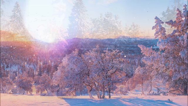 ролик по уроку 12.1 в Pr