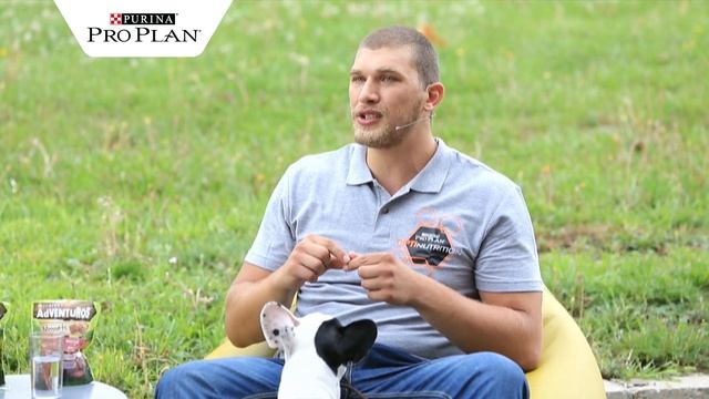 Как да научим кучето си на тоалетни навици? смотреть онлайн