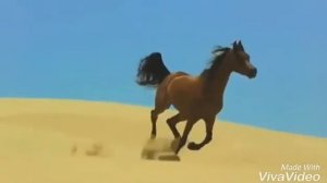 Аварская красивая песня