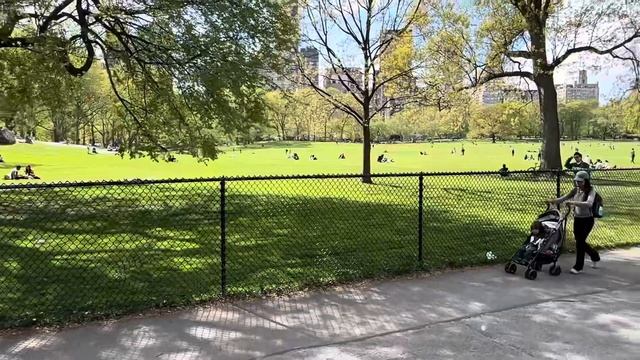 New York day 1. Central Park, 5th Ave, Museum, Russian restaurant смотреть онлайн
