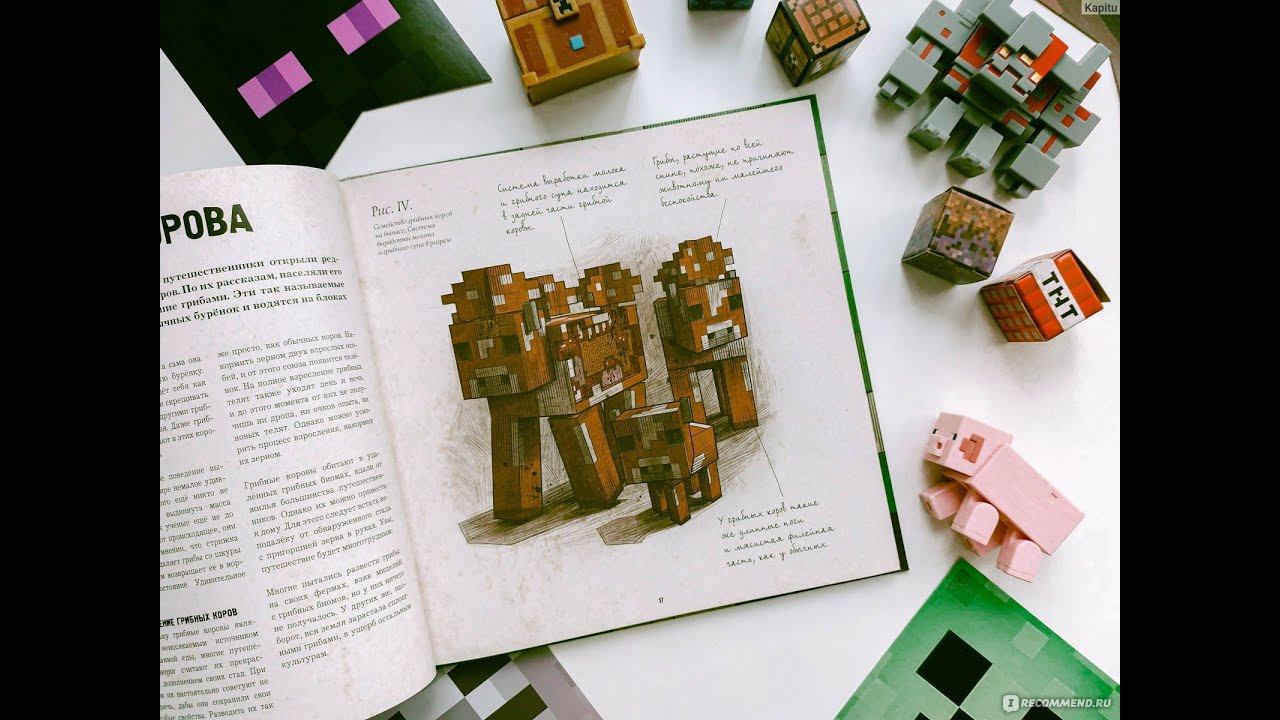 Интересны факты о грибных коровах