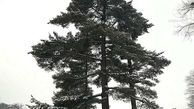 МЕСТО - МЕЧТА КЛАДОИСКАТЕЛЯ,ГРАФСТВО БРАНИЦКИХ 18-19 СТ. смотреть онлайн