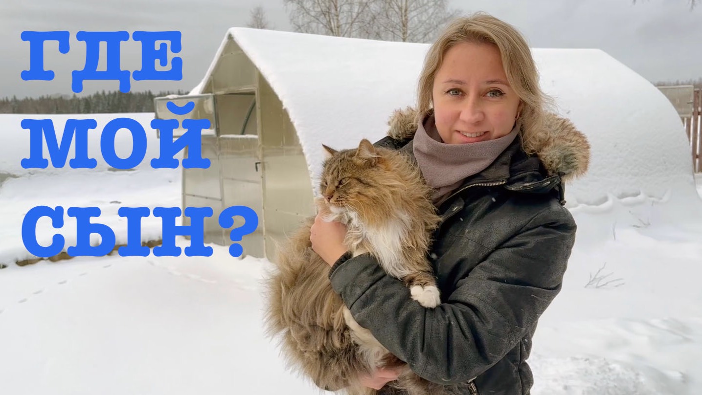 #164. Зимние будни. Ответы на вопросы. [Жизнь на своей земле] смотреть онлайн