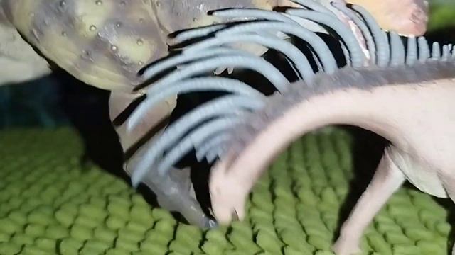 Carnotaurus VS Bajadasaurus