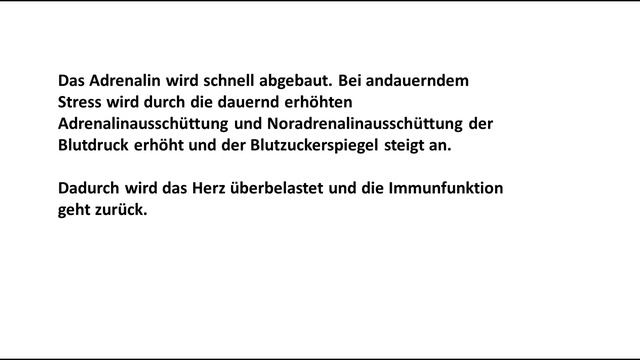 Nebennierenschwäche - DHEA , Adrenalin und Noradrenalin - GANZMEDIZIN Naturheilpraxis смотреть онлайн