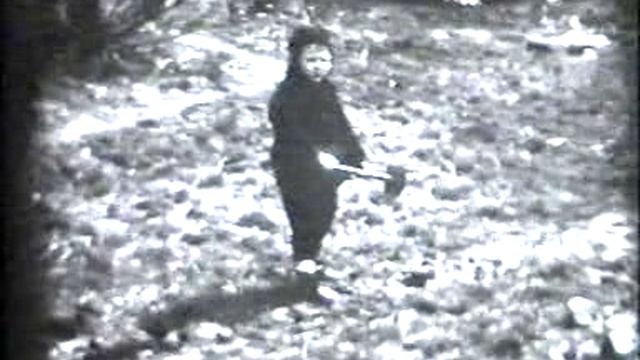 dasbinick смотреть онлайн