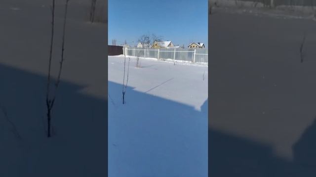 Мой зимний сад. смотреть онлайн