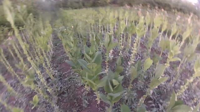 Завершения сезона 2021